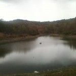 southeast park2