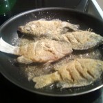 eating bluegills from Lady Bird Lake