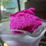 prickly pear sorbet