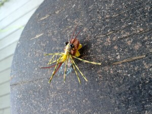 Foam Gaga Spider