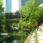 Shoal Creek Fly Fishing Austin | 3rd St.