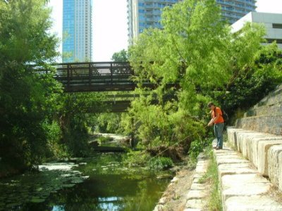 Shoal Creek Fly Fishing Austin | 3rd St.