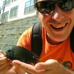 Shoal Creek Fly Fishing Austin | Cichlid