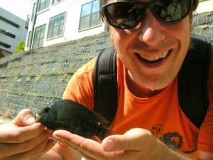 Shoal Creek Fly Fishing Austin | Cichlid