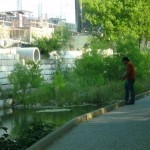 Shoal Creek Fly Fishing Austin - Between Eighth and Ninth