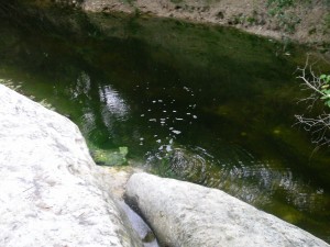 Blunn creek pool