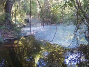 Sewage leak in Waller Creek