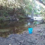 Waller creek