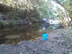 Waller creek