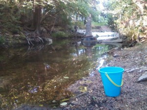 Waller Creek and child's bucket