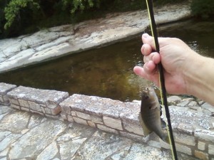 Waller Creek fishing