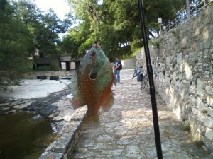 Pumpkinseed caught behind Stubbs