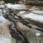 Waller Creek slough