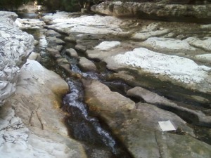 Waller Creek slough