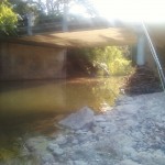 Bridge by secret cichlid hole