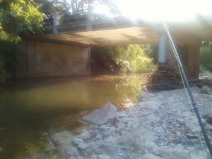 Bridge by secret cichlid hole