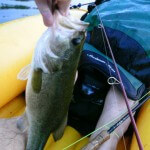 black bass in boat