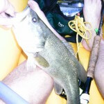 bass from kayak