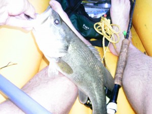 bass from kayak