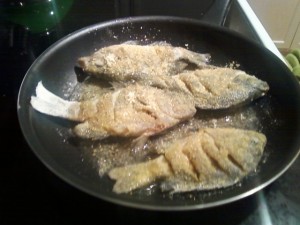 eating bluegills from Lady Bird Lake