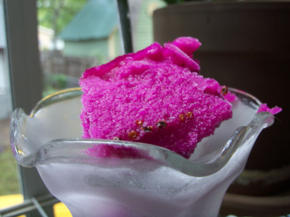 prickly pear sorbet