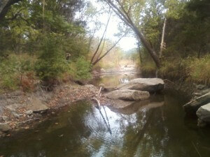 A promising but unproductive creek