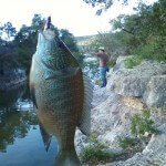 Fishing Bull Creek Austin