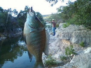 Fishing Bull Creek Austin