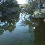 Bull Creek overhang fishing